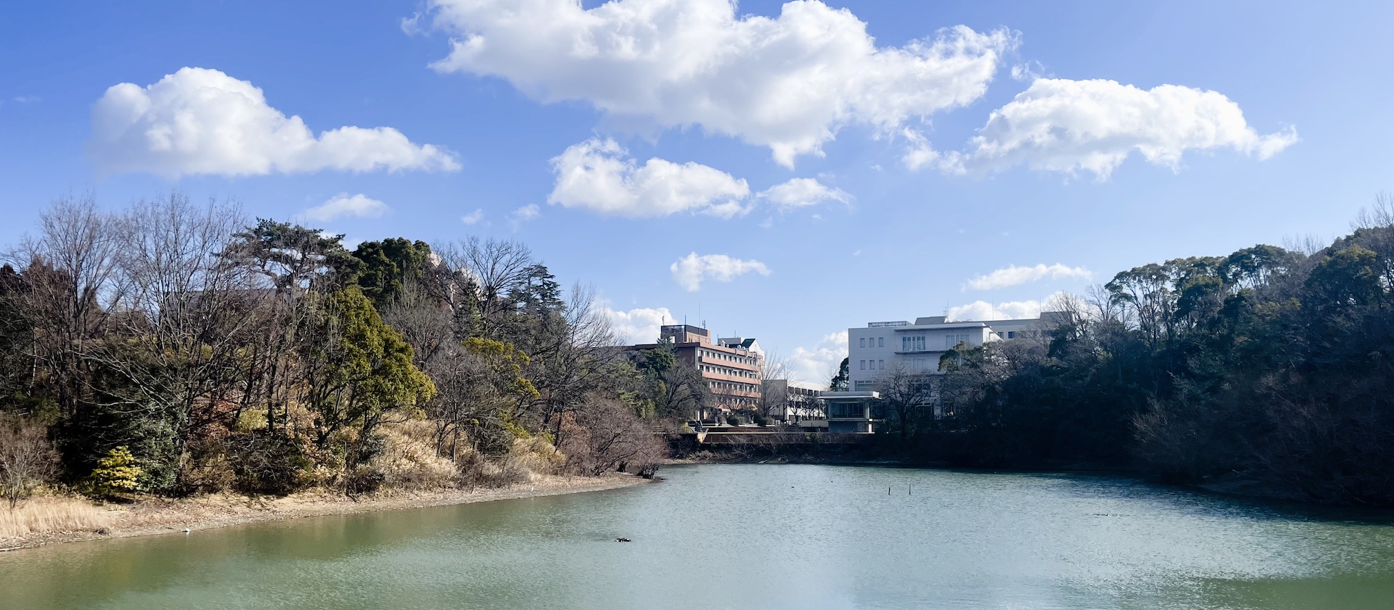 View from the pond